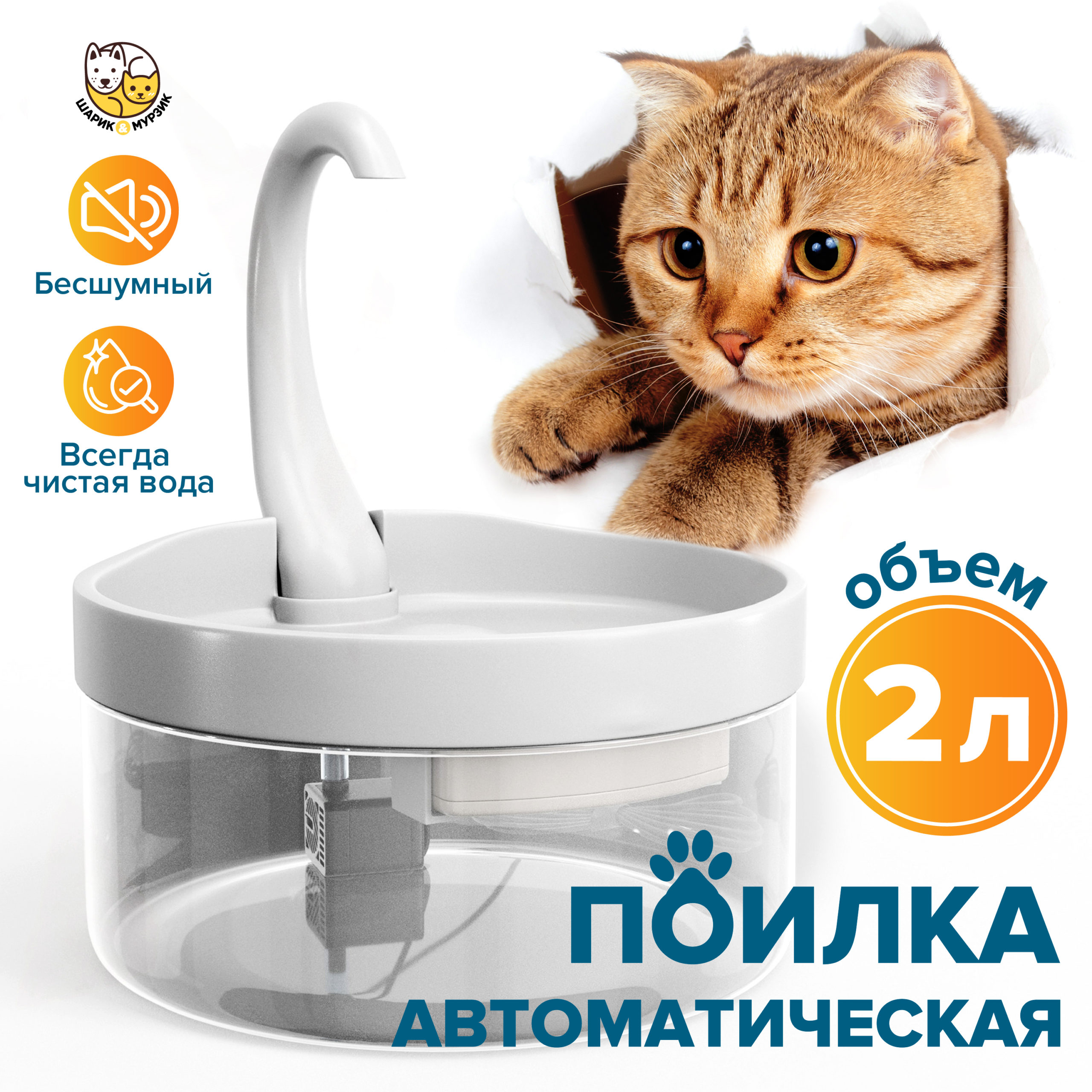 фронт